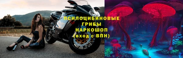тгк Липки